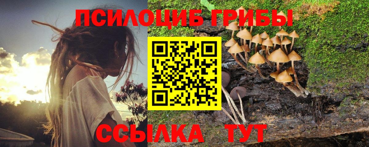 Солнечногорск  дарнет шоп  Вход с VPN  Псилоцибиновые грибы Magic Shrooms  Псилоцибиновые грибы ЛСД 