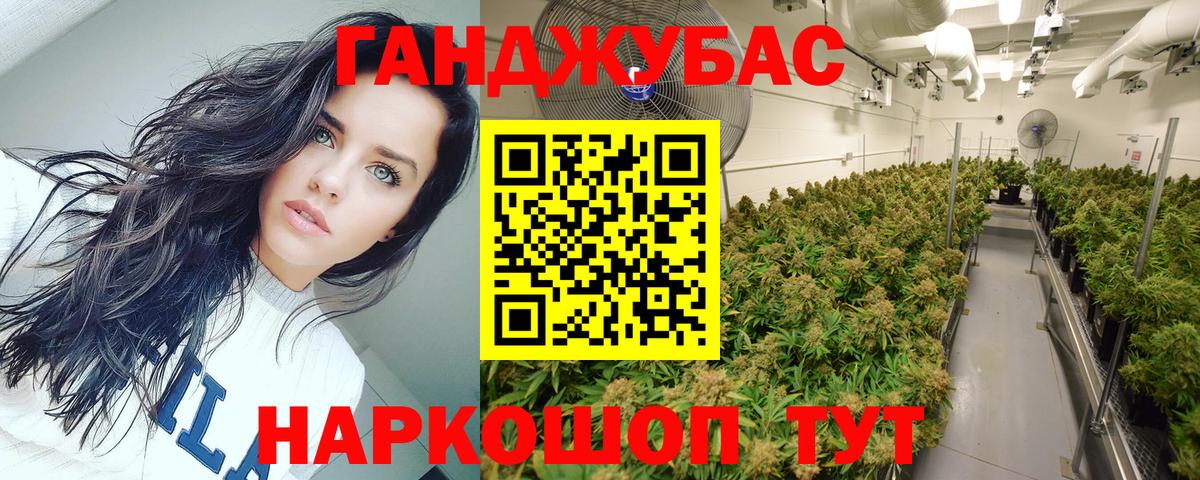 Солнечногорск  Каннабис White Widow  Бошки марихуана конопля  Конопля THC 21%  Вход с VPN  МАРИХУАНА сатива 